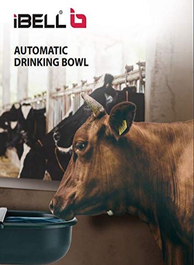 آي بيل وعاء شرب أوتوماتيكي من iBELL سعة 4 لترات للماشية/الخيول/الماعز/الأغنام/الخنازير/الكلاب مع صمام فحص وسدادة تصريف (متعدد الألوان) - Image 4